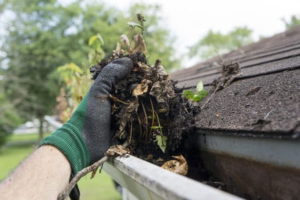 Gutter Maintenance To Safeguard Your Roof