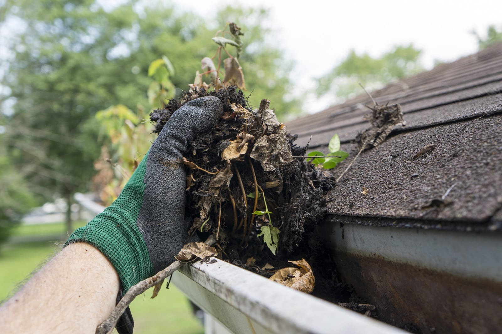 Why Gutter Maintenance is Essential for Protecting Your Roof